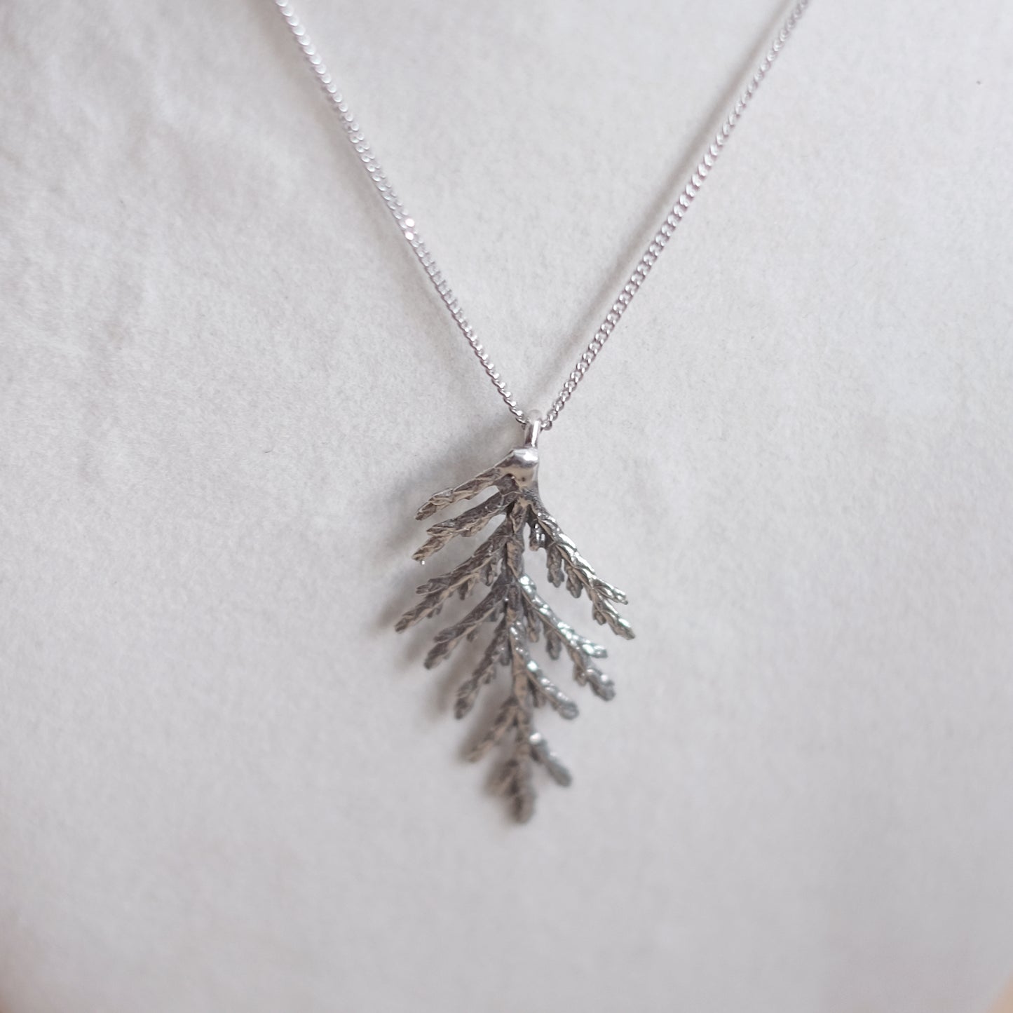 Collier branche de cèdre, grand