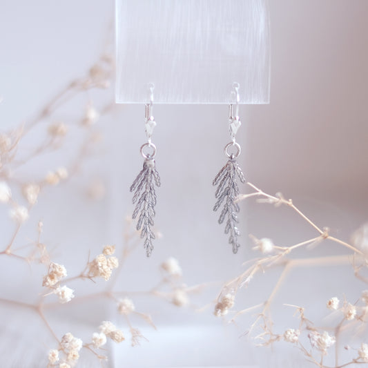 Petites Branches de Cèdre - Boucles d'oreilles en argent sterling