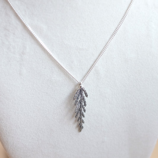Collier branche de cèdre, petit